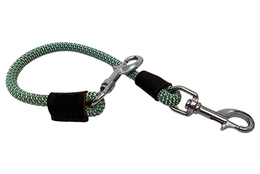 whip snake keychain